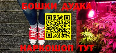 сатива Кунгур