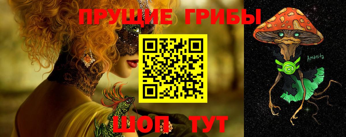 Узловая  Псилоцибиновые грибы прущие грибы  Вход с VPN  Псилоцибиновые грибы Cubensis 